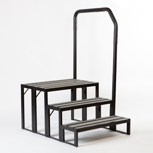 Bullfrog Swim Step and Rail