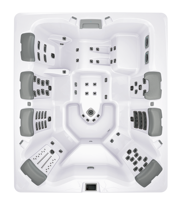 BULLFROG SPAS MODEL A9L Select  350938 (2025) Platinum/Timber w/Ebony Accents 350938