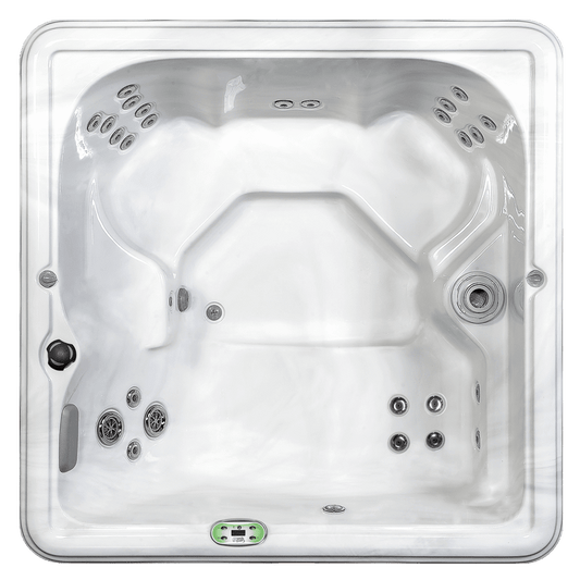 Hydrangea 2540903 Silver/Grey