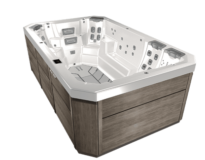 BULLFROG SPAS MODEL S150