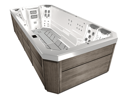 BULLFROG SPAS MODEL S200